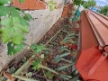 Сеялки 2.50-3.0м, снимка 6
