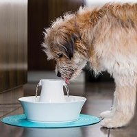 Луксозен керамичен фонтан за кучета и котки PetSafe Drinkwell, снимка 8 - За кучета - 43200154