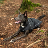 Дъждобран за кучета Mountain Paws, водоустойчив и ветроустойчив, подплатен с руно Cordura, размер М, снимка 6 - За кучета - 44866793