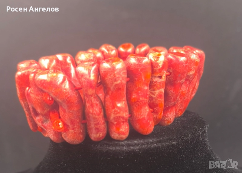 Коралова Гривна, снимка 1