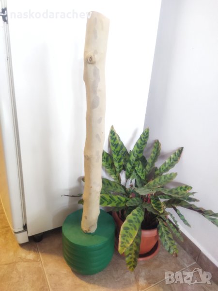 Катерушка, аксесоар за котета за точене на ноктите, снимка 1