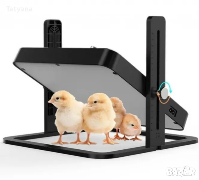 Нагревателна плоча за пиленца – регулируема температура, снимка 1