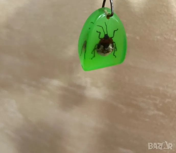 Истинско насекомо за ключодържател/ колекция, снимка 1