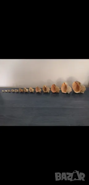 Звук на море, снимка 1