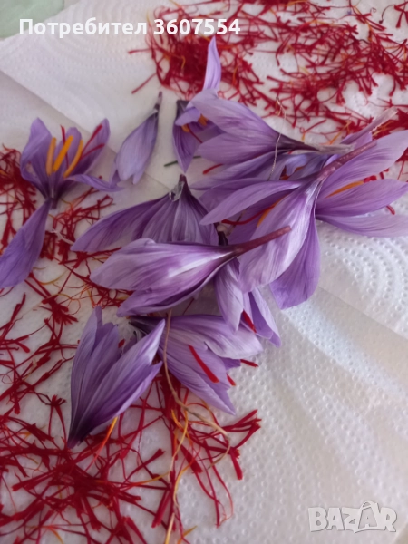 Продавам шафран, снимка 1