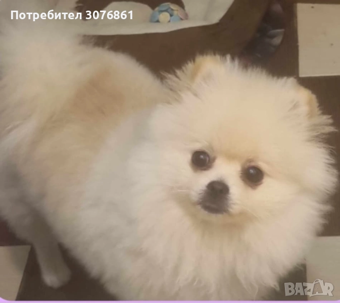  На 11месеца , снимка 1