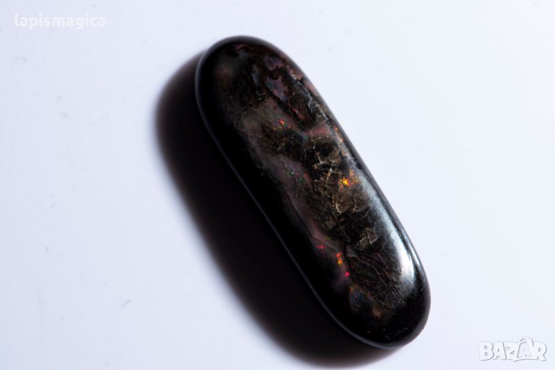 Опализирано дърво 13.34ct овален кабошон №6, снимка 1