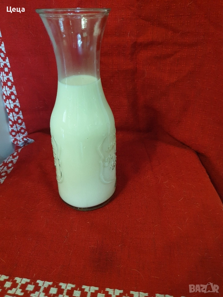 продавам овче мляко, снимка 1