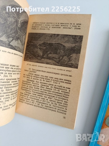 ЛОТ Божествени тайни и чудеса, снимка 2 - Специализирана литература - 53327642