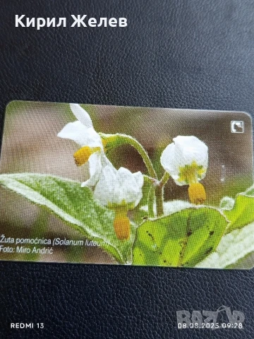 Фонокарта ХЪРВАТИЯ ФЛОРА много красива за КОЛЕКЦИЯ ДЕКОРАЦИЯ 50072, снимка 7 - Колекции - 51293866