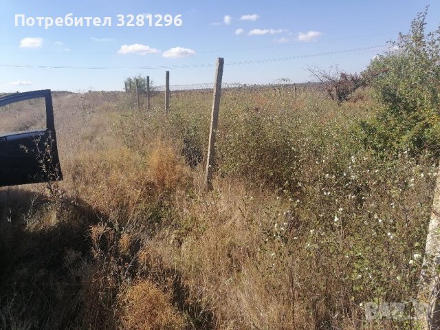 Продавам земеделска земя- овощна градина с. Левски, снимка 6 - Земеделска земя - 38077207