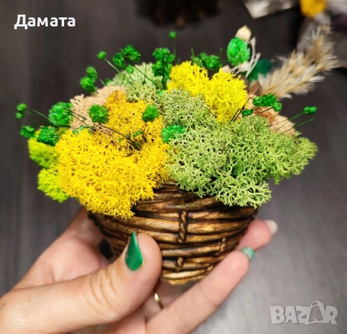 Кашпи/декорации със скандинавски мъх , снимка 14 - Декорация за дома - 40089702