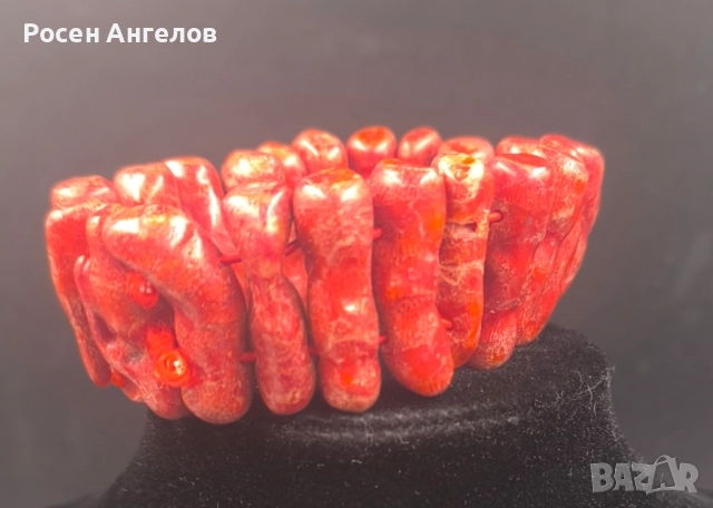 Коралова Гривна