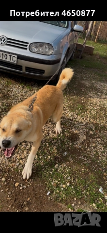 Свободна женска на 11 месеца