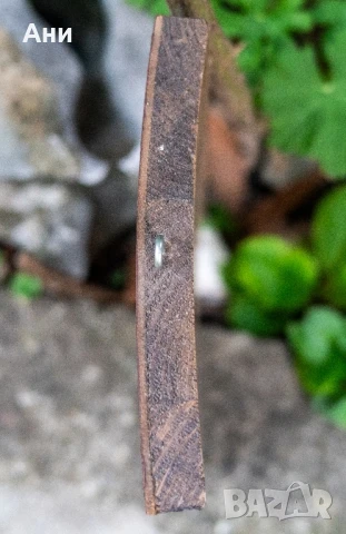 Икона Уникат Дева Мария Младенеца Св. Петка Николай Кашев, снимка 10 - Икони - 51027251