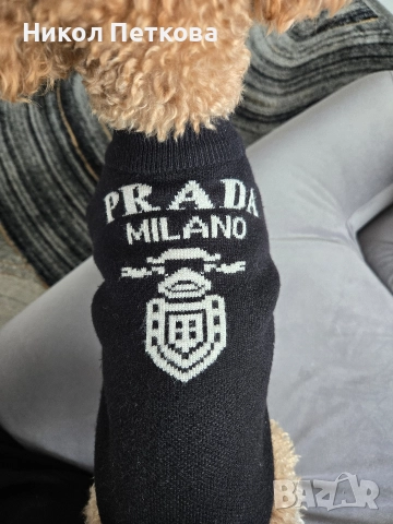 Кучешки пуловер Prada , снимка 3 - За кучета - 52755266