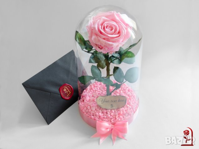 Подарък за Рожден ден на Жена / Истинска Розова Роза в Стъкленица / Жива Вечна Роза, снимка 2 - Декорация за дома - 34646479