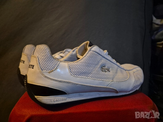 Lacoste-original-номер45 