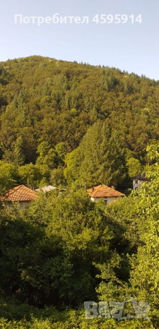 Изгодна къща с двор в с. Васильово, до Тетевен и Рибарица, снимка 3 - Къщи - 51951700