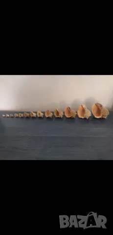 Звук на море