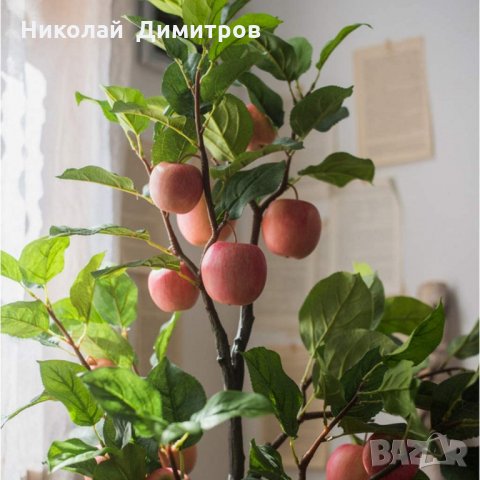 Продавам декорация ябълково дърво в саксия H 100 cm, снимка 4 - Декорация за дома - 29068590