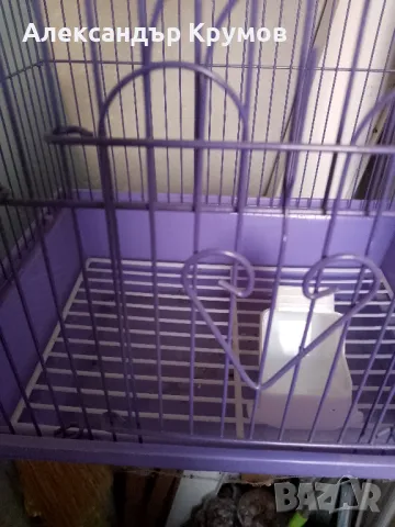 Продавам метална клетка за птици , снимка 6 - За птици - 49715244