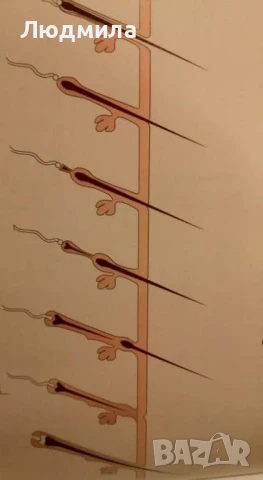 Епилатор RIО IPL PRO, снимка 5 - Епилатори - 50486837