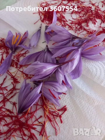 Продавам шафран