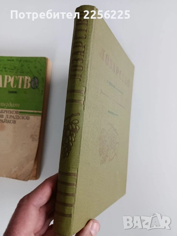 ЛОТ Лозарство, снимка 8 - Специализирана литература - 53456687