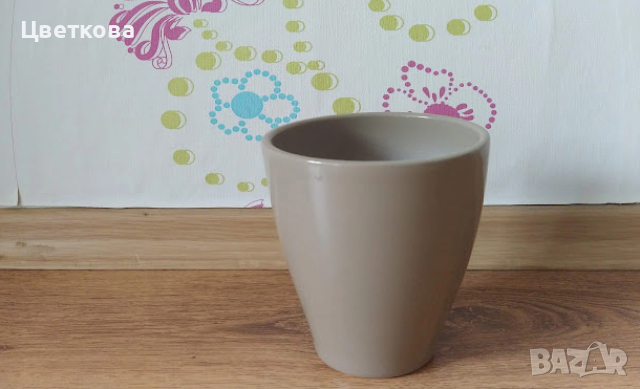 10 стайни растения + отстъпка и подарък, снимка 11 - Стайни растения - 52581659