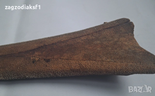 Рог от Марлин, снимка 2 - Колекции - 53032415