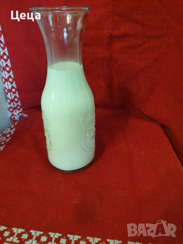 продавам овче мляко