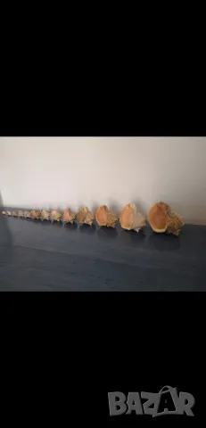 Звук на море, снимка 3 - Други - 48907384