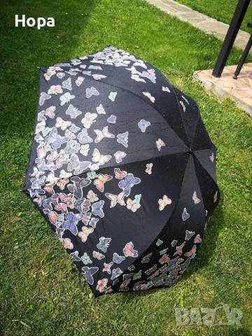 Магически чадъри с пеперуди, снимка 3 - Други - 39756302