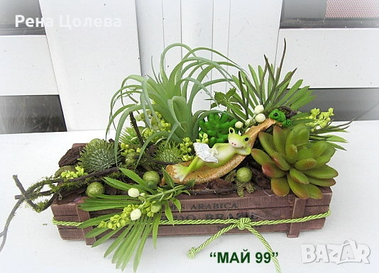 Сукуленти и тиландсия в дървено сандъче, снимка 5 - Декорация за дома - 53266543