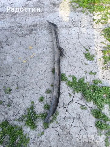 пластмаса около чистачки за Ситроен Саксо , снимка 1