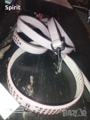 Комплект с камъни за средни и големи породи кучета , снимка 5 - За кучета - 47808869