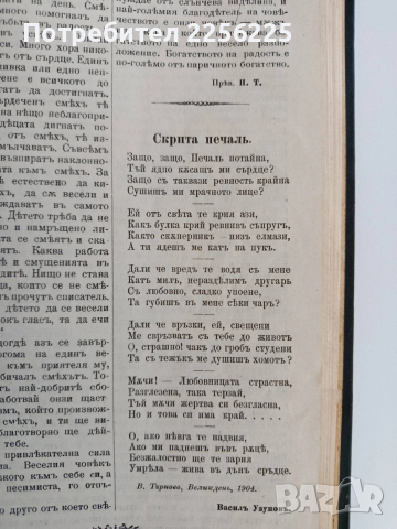 Месечно илюстровано списание Родина 1904г ( 1-10 ) Година шеста, снимка 3 - Специализирана литература - 53042910