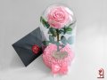 Подарък за Рожден ден на Жена / Истинска Розова Роза в Стъкленица / Жива Вечна Роза, снимка 2