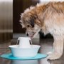 Луксозен керамичен фонтан за кучета и котки PetSafe Drinkwell, снимка 8