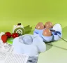 Молд поставка за яйца , снимка 4