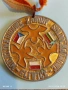 Медал МЕЖДУНАРОДНИ КЛУБНИ СЪСТЕЗАНИЯ по ПАРАШУТИЗЪМ ГЛИВИЦЕ 53519, снимка 3