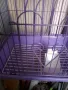 Продавам метална клетка за птици , снимка 6
