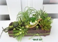 Сукуленти и тиландсия в дървено сандъче, снимка 5
