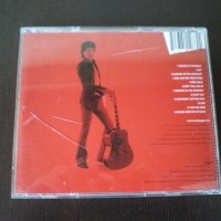 Mick Jagger ‎– Goddessinthedoorway 2001, снимка 3 - CD дискове - 43355688
