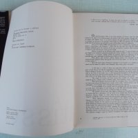 Книга "MATISSE - NEAGU RĂDULESCU" - 104 стр., снимка 2 - Специализирана литература - 27735867