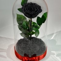 Вечна ЧЕРНА роза в ГОЛЯМА стъкленица / Уникален подарък - ЖИВА (естествена) вечна роза