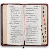  Библия (ББД) - луксозно издание с индекси (издание в червено), снимка 4 - Специализирана литература - 43562272