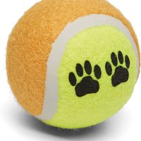 Комплект Тенис топка за куче Amazon Basics TB-12 12 броя Pet Tennis Ball играчка за домашен любимец, снимка 2 - За кучета - 40788675