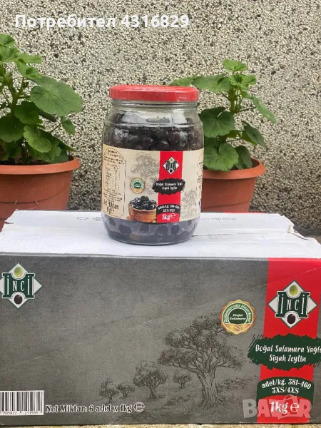 Маслини - INCI, снимка 1